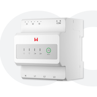 GoodWe GM330 (w/o CT) (replace GM3000C) - EzMeter