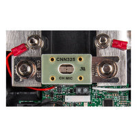 Victron Fuse CNN 325A/80V for Lynx shunt (1 pc)