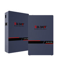 BSL Battery 51.2V - Slimline 300ah (15.36kWh)