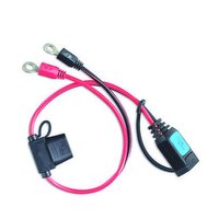 Victron M6 eyelet connector (with 30A ATO fuse)